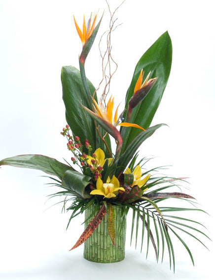 Excellence in Bloom