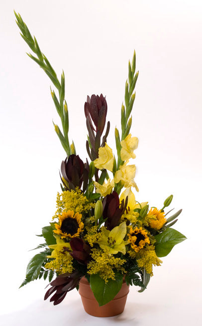 Warm Thoughts Arrangement