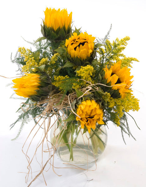 Sleeping Sunflowers
