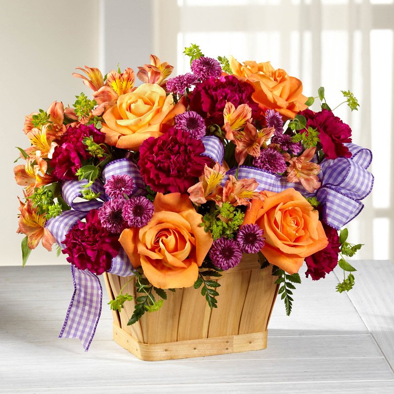 New Dream Basket
