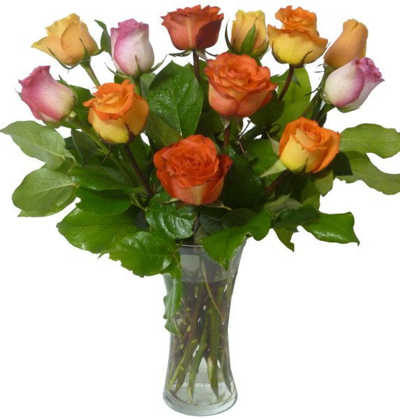 V-Rainbow of Roses