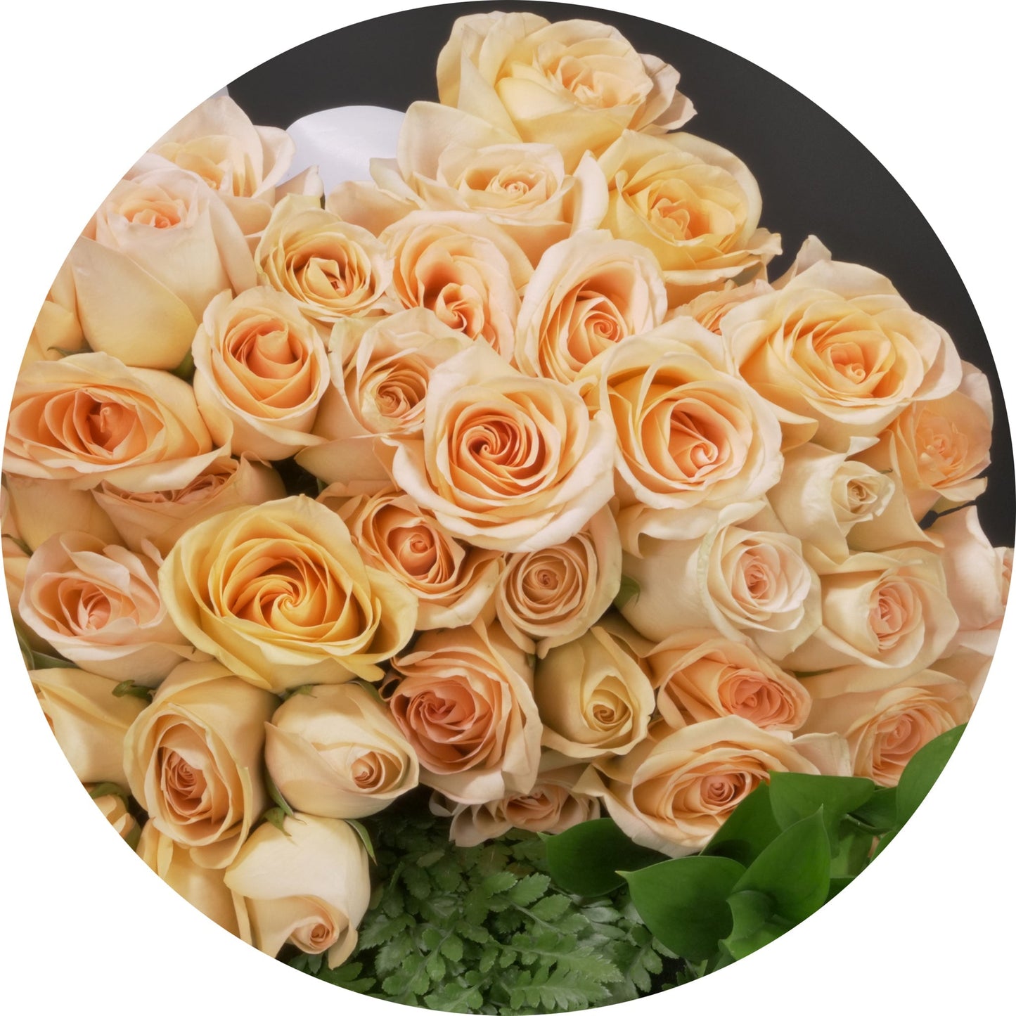 Peach Roses