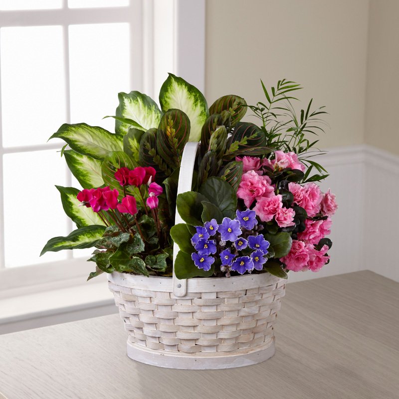 Peaceful Garden Planter