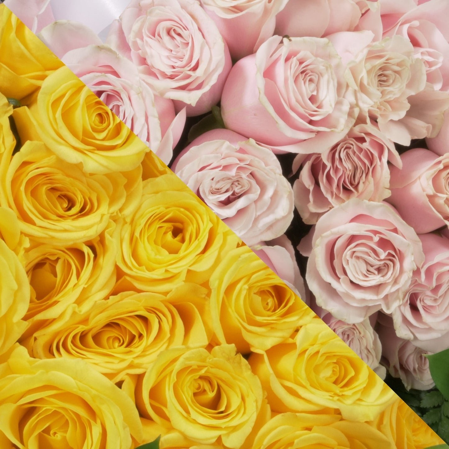 Yellow & Blush Pink Roses