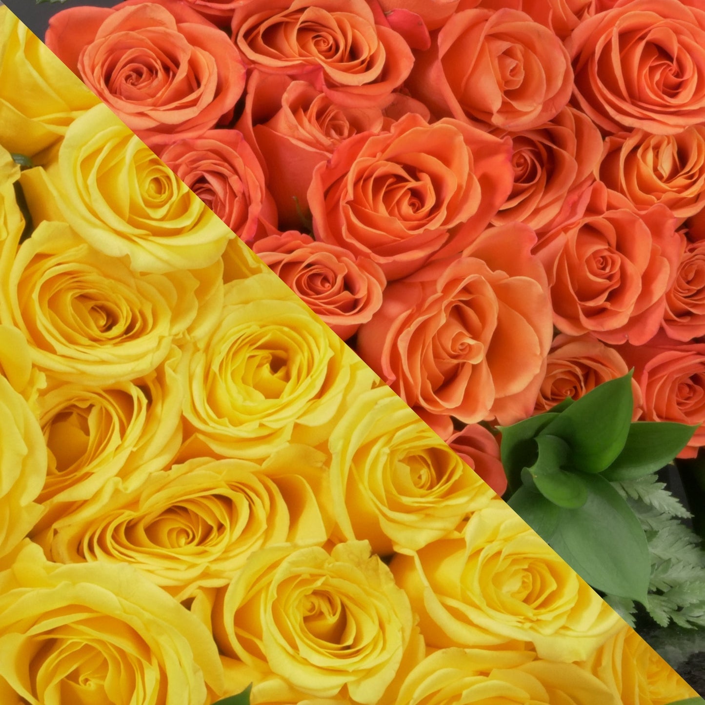 Yellow & Orange Roses