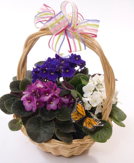 Adorable Basket for Mom