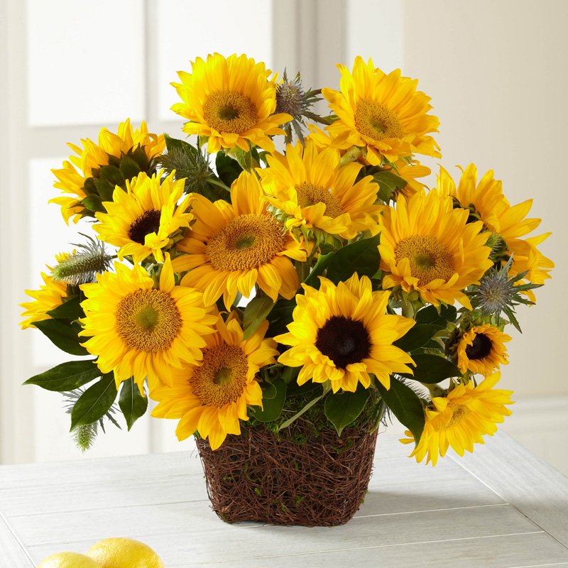  Perfect Sun Bouquet