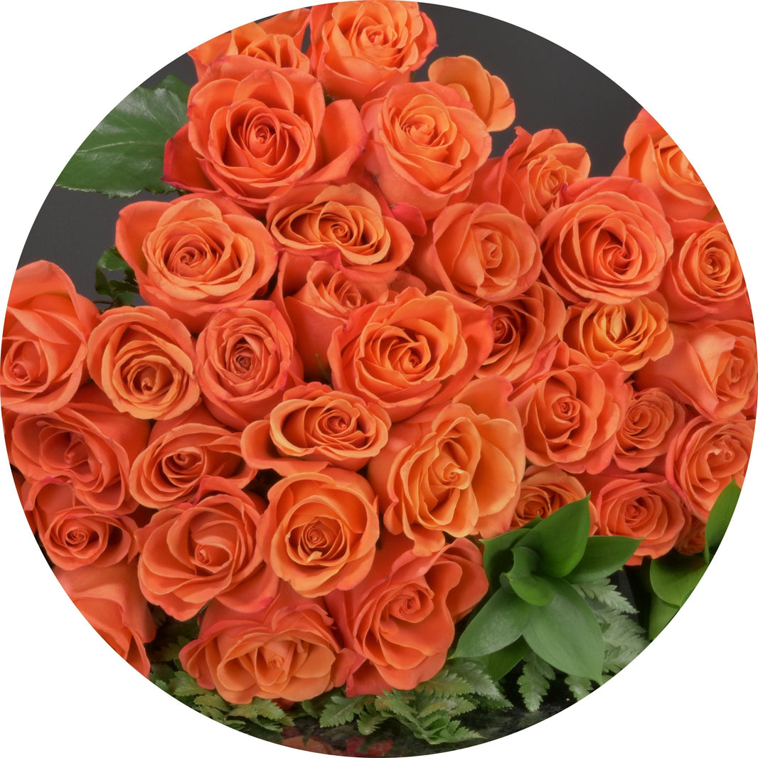 The Ottawa Flower Shop – The Ottawa Flowershop