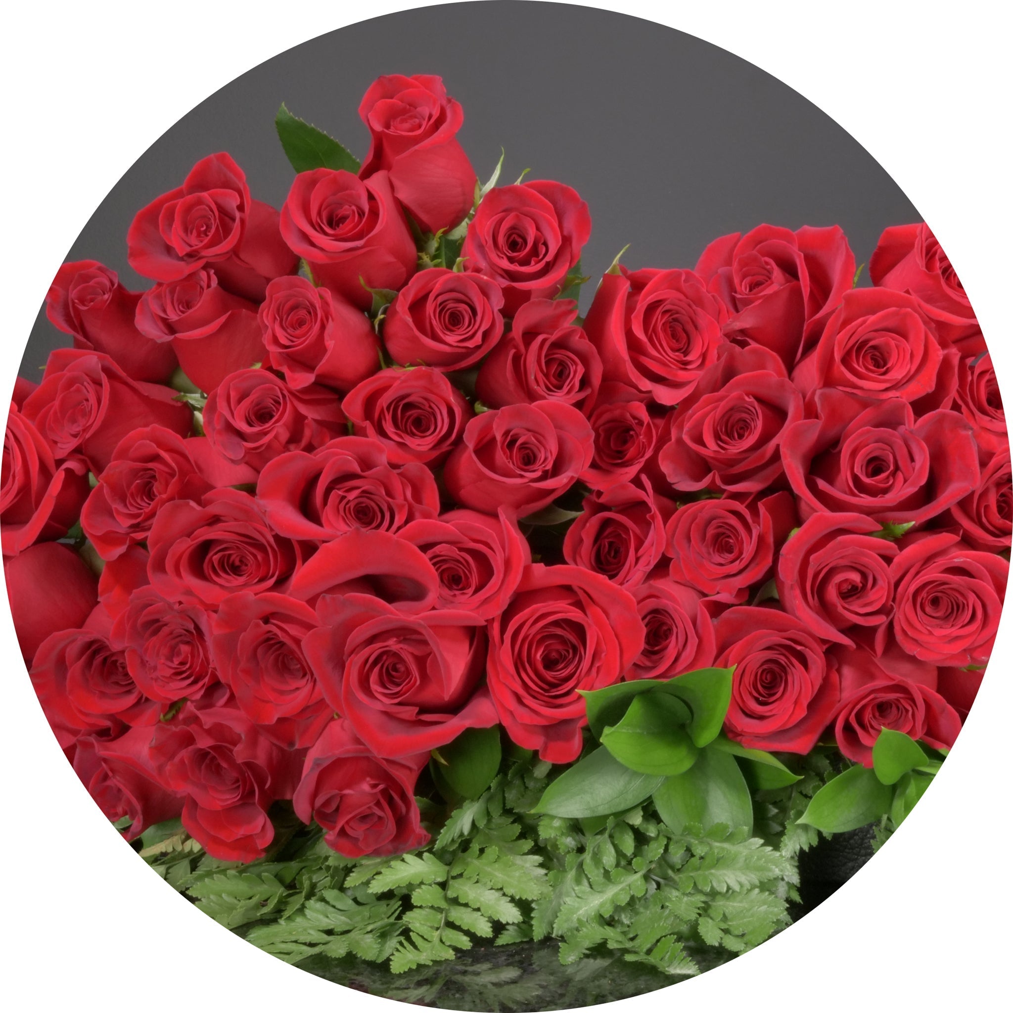 Red Roses – The Ottawa Flowershop